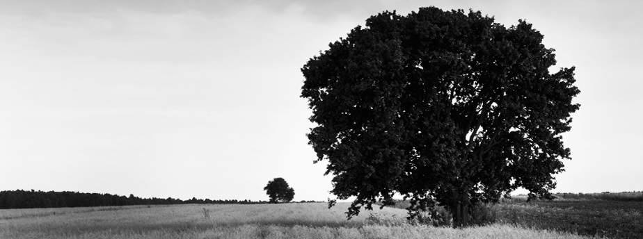 呼死你免费试用在线